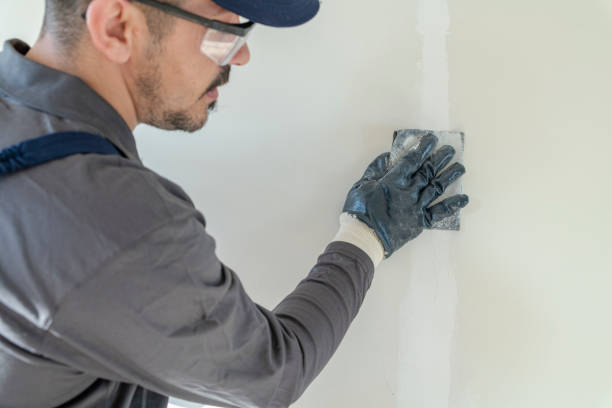 Best Mold-Related Health Consultation  in Orida Ridge, FL