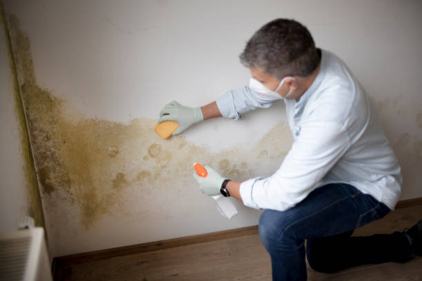 Mold Remediation for Rental Properties in Florida Ridge, FL