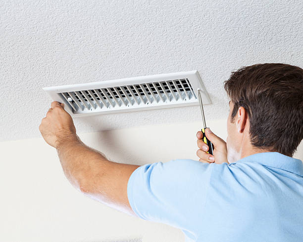 Florida Ridge, FL Mold Removal Company