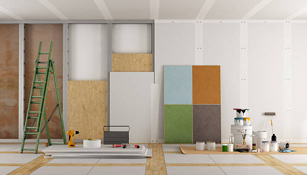 Best Black Mold Removal  in Orida Ridge, FL