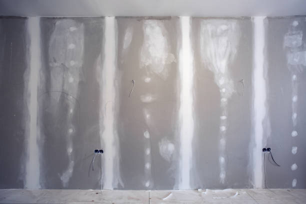 Best Attic Mold Removal  in Orida Ridge, FL